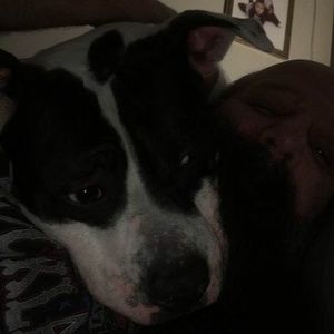 Meet your Posher, Rob